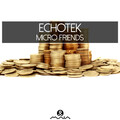 Echotek - Audio Slave