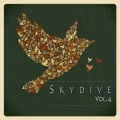 Skydive, Vol. 04