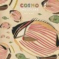 Cosmo Sheldrake - Hocking (Edit)