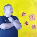 张国元 - 红尘殇情