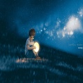Lonely Night