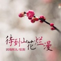 词场阿九、软刺 - 待到山花烂漫