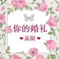 袁挺 - 提笔不会再为你