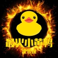 沈梦逸 - 最火小黄鸭
