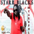 Hennessy、Starr Blacks - Treasure Hunter