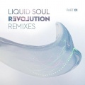 Liquid Soul - P.L.U.R. (Suduaya )(Remix)