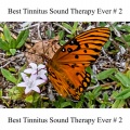 Paul Harrison - Best Tinnitus Sound Therapy Ever # 2