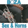 Sex and Horns (Club Mix)