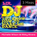 Mr. DJ You Know How to Make Me Dance