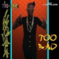 Too Bad (Explicit)