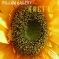 William Gallery - The Values Of Things