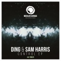 Ding - Control