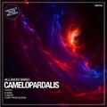 Alejandro Manso - Camelopardalis