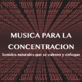 Centrarse en estudio - Sonidos de la naturaleza