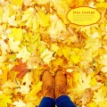 Groove Hands、韩国群星 - Blue My Love