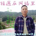 望海情歌 - 相遇在网络里