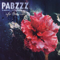 Pabzzz - Feelings