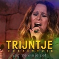 Zeg Me Wie Je Ziet