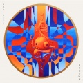 Son Kite - Contact