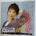 韩宝仪 - 人客的要求