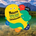 Pien Feith、Mason - Solid Gold