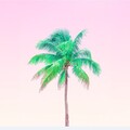 瑾子、社长 - 张信哲-爱如潮水remix (瑾子/社长 Remix)