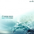 Invisible Reality - Parallel Fantasy