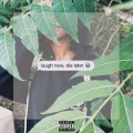 Kari Faux - Stainless Feat. Fat Tony