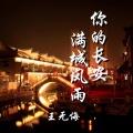 王无悔 - 流过的泪，为谁心碎