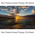 Paul Harrison - Best Tinnitus Sound Therapy the Beach