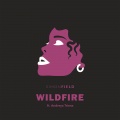 Wildfire