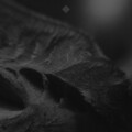 Tobhias Guerrero - Letters to Saturn