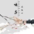 苏同学 - 酷一点优秀一点 (DJ版)
