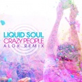 Liquid Soul - Crazy People (Alok Remix)