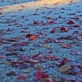 Emma唱跳室 - when you told me you loved me