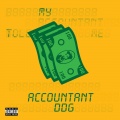 Accountant (Explicit)