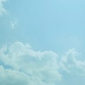FLOWER FLOWER - 夏 (Summer)