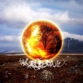Jashari、Tom Novy - Can't Control the Way