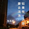 ZHANG - 如果有一天我要去流浪