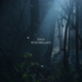 eros - Wonderland