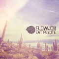 Flowjob - Ashore