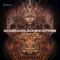 Imaginarium、Shivatree - Misfits