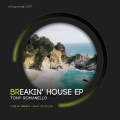 Tony Romanello - What I'm Feeling (Radio Edit)