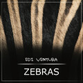 EDiVentura - Zebras