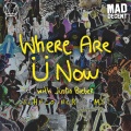John Connor、Justin Bieber、Skrillex、Diplo - Where Are Ü Now (John Connor Remix)
