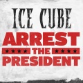 Arrest The President (Clean)