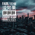 Fade & 可惜没如果 Remix