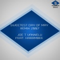 joe t vannelli、Harambee - Sweetest Day of May (Remix 2007)