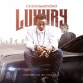 Luxury (feat. Menend)(Explicit)