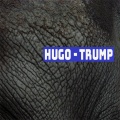 Hugo - Trump